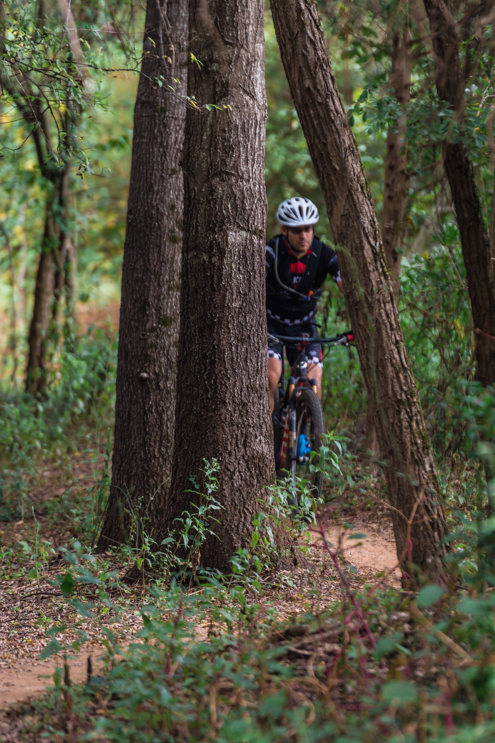 ASCGreenway Treeshaker Sept 1-462