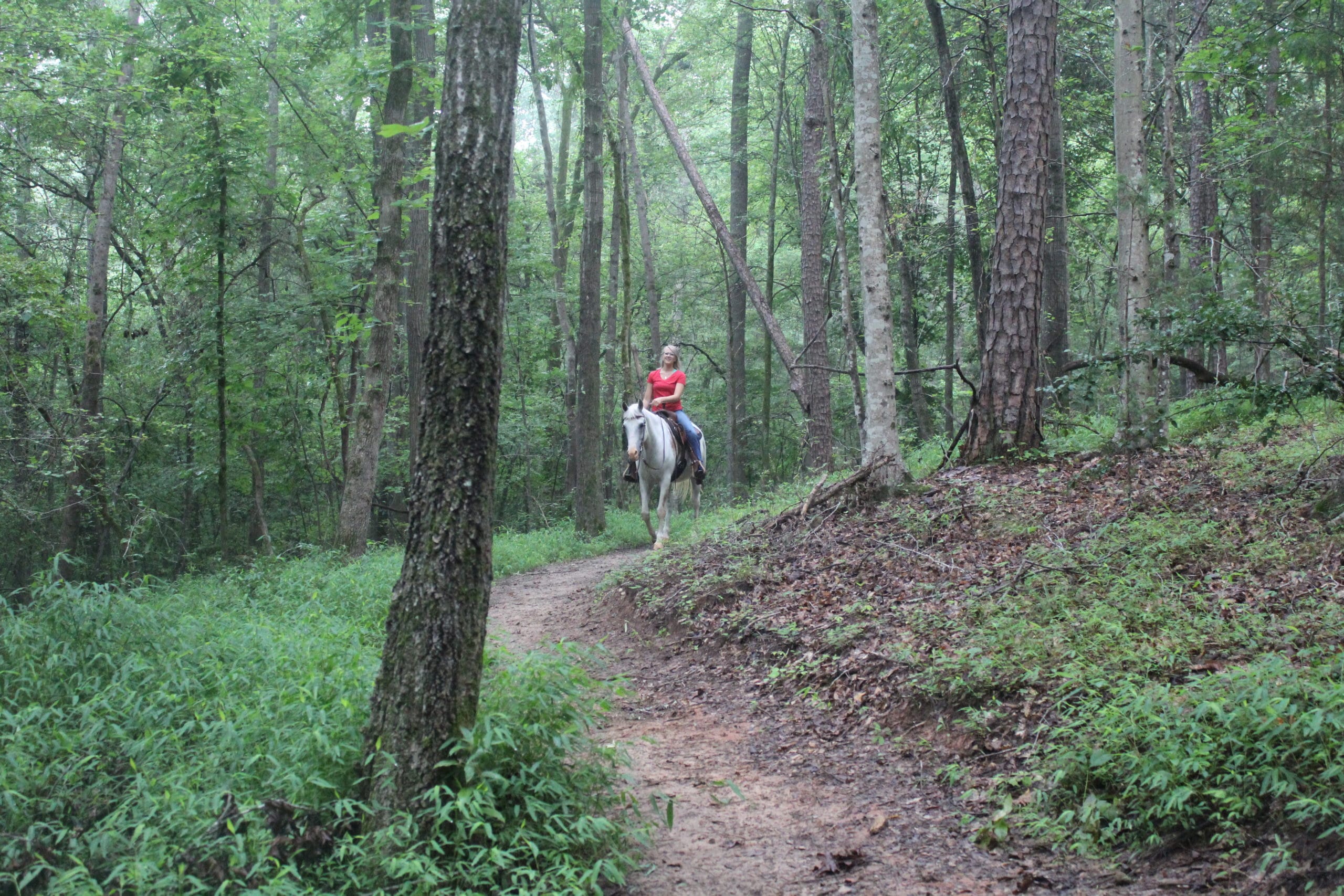 IMG_3780.JPG