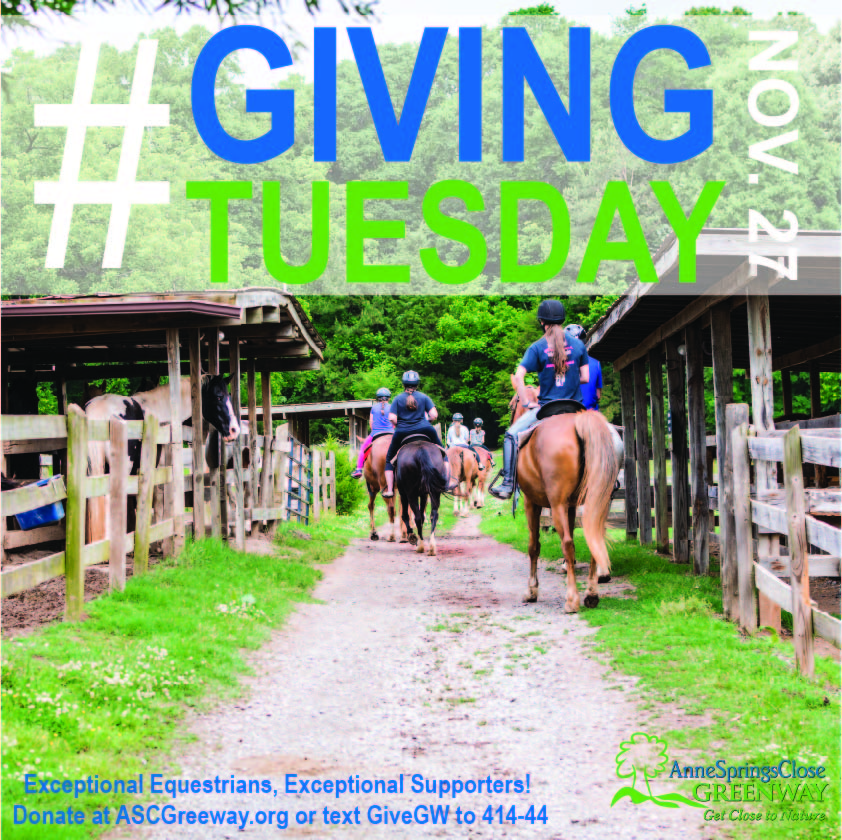 #GivingTuesday Instagram 1.jpg