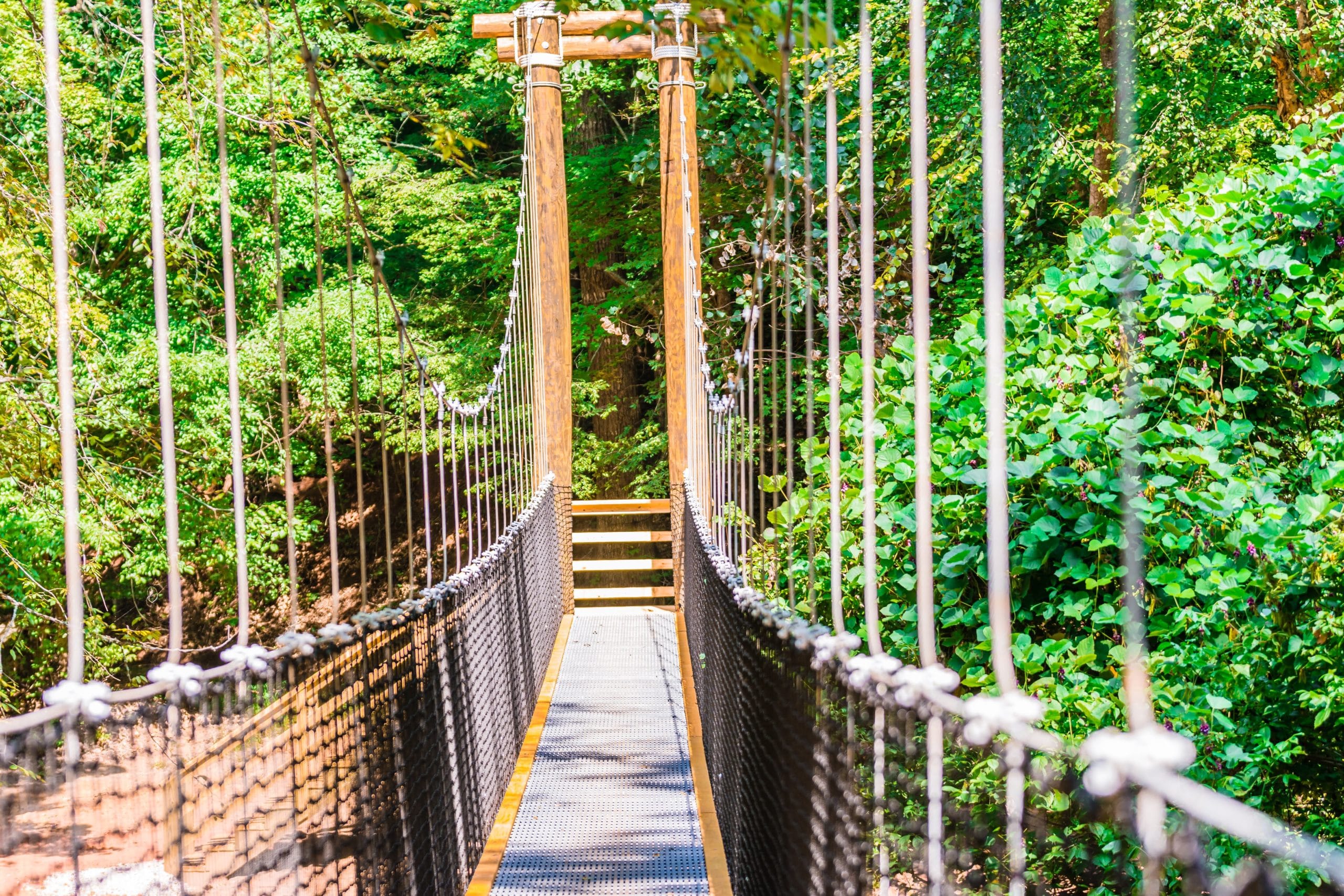 ASCGreenway Aug 10 Bridge-65.jpg
