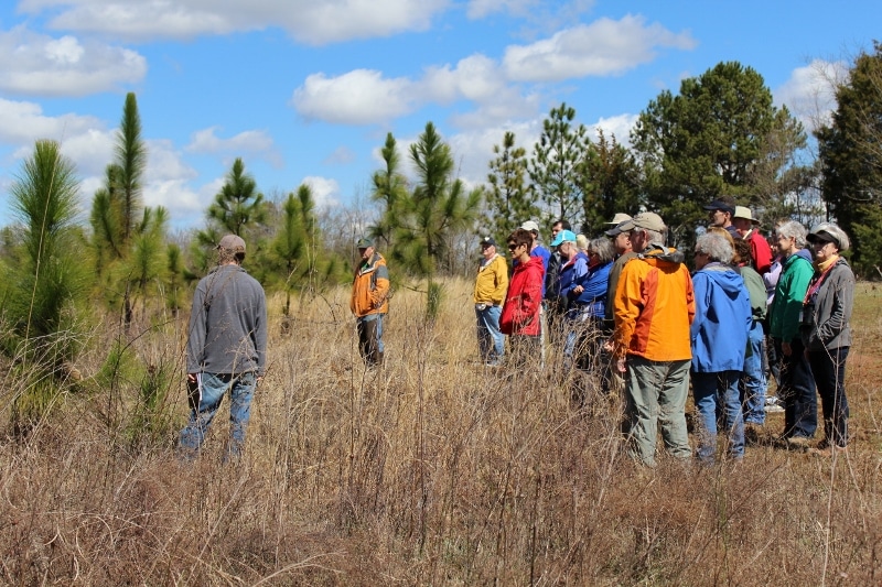 alt=Photo of Catawba Master Naturalist Students looking into the Anne Springs Close Greenway