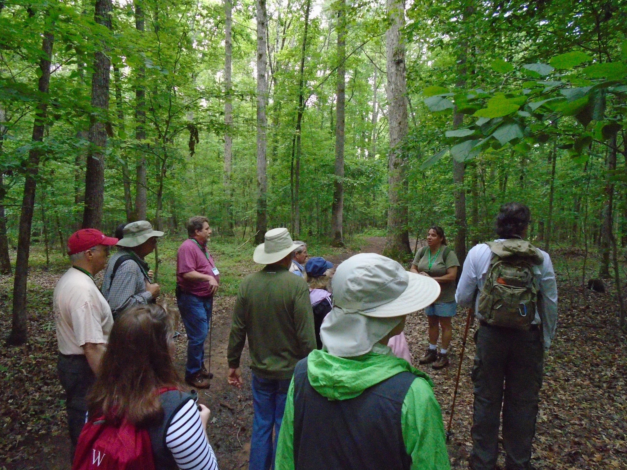alt=Group of guests standing in the woods of the Anne Springs Close Greenway