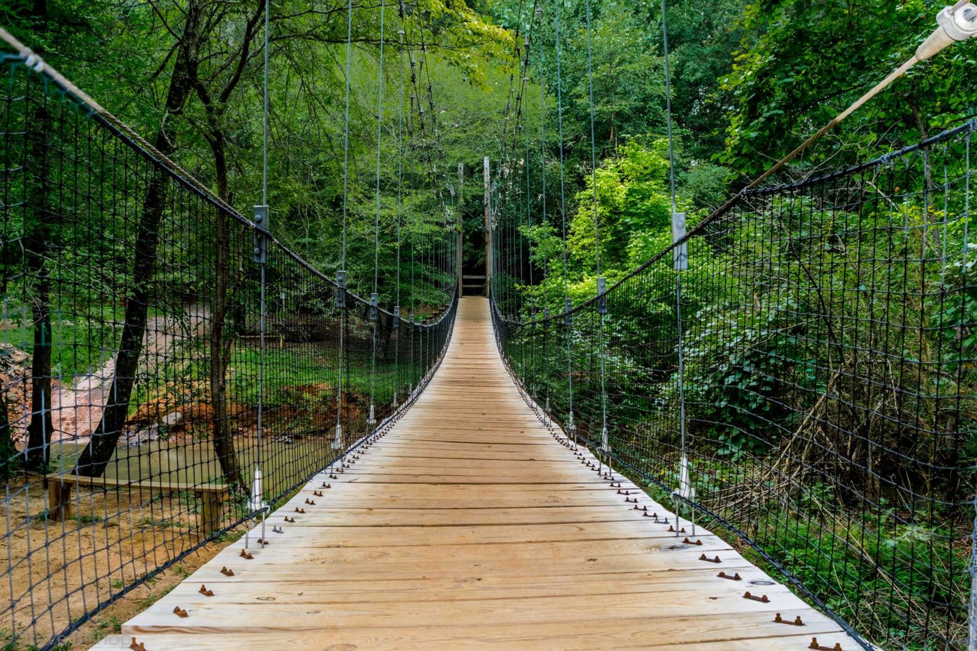 Visit Anne Springs Close Greenway