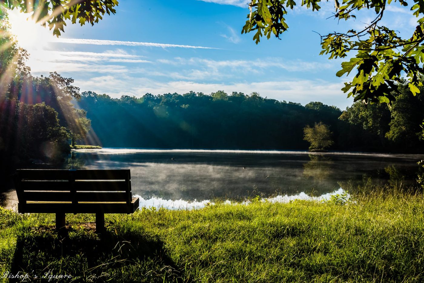 alt=Photo of a bench onlooking Lake Haigler at the Anne Springs Close Greenway