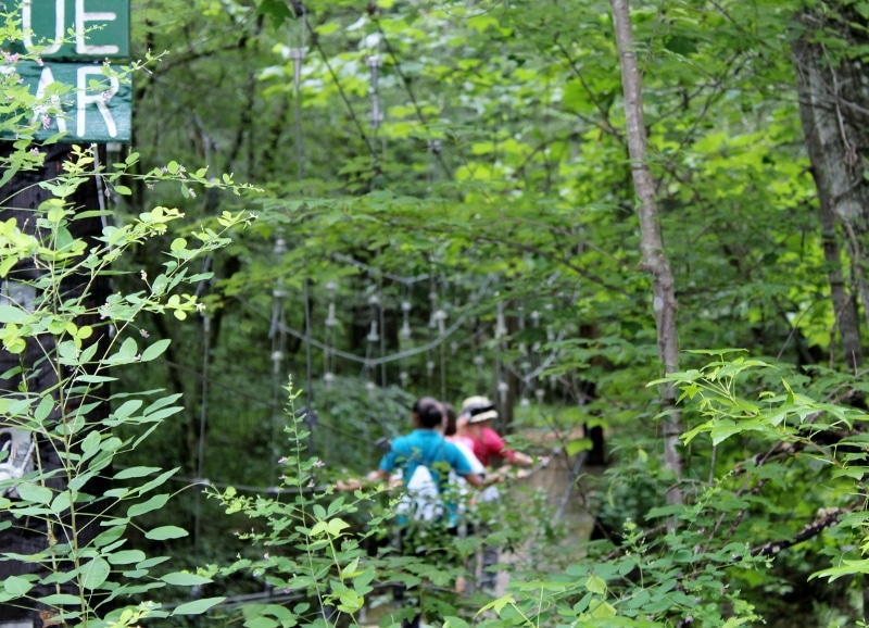 Hiking club crossing suspension bridge