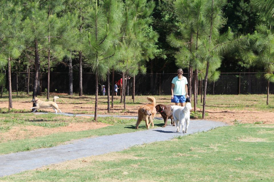 Photo of woman walking behind 3 dogs at the Mary Warner Mack Dog Park at the Anne Springs Close Greenway