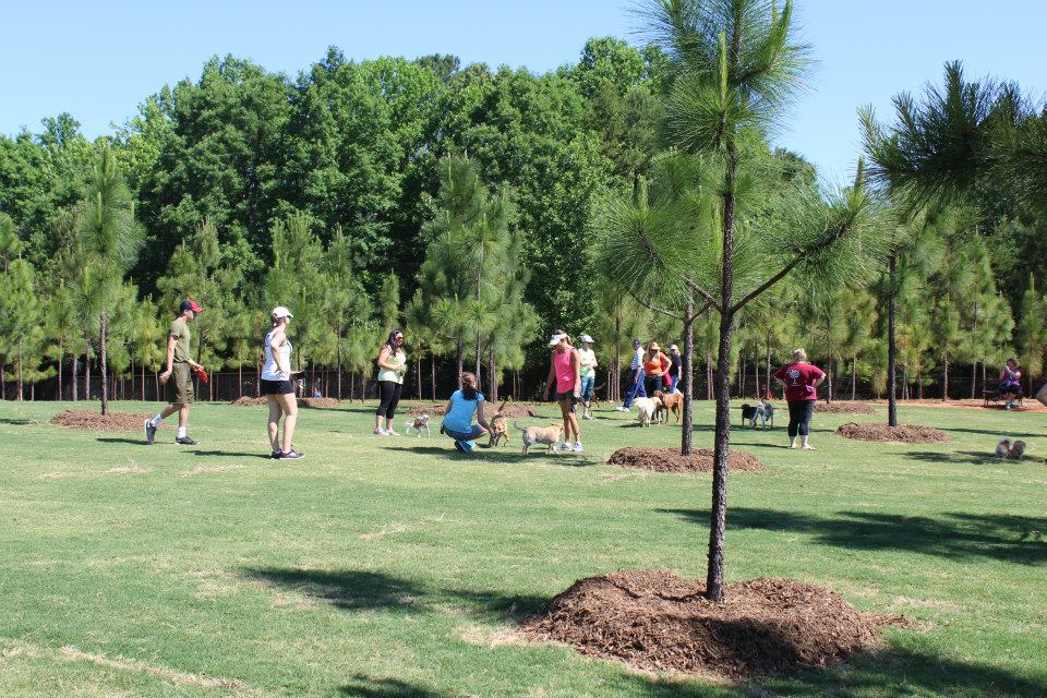 Photo of guests playing with dogs at the Mary Warner Mack Dog Park at the Anne Springs Close Greenway