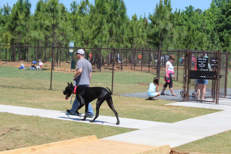 Photo of man walking his dog down the sidewalk of the Mary Warner Mack Dog Park at the Anne Springs Close Greenway