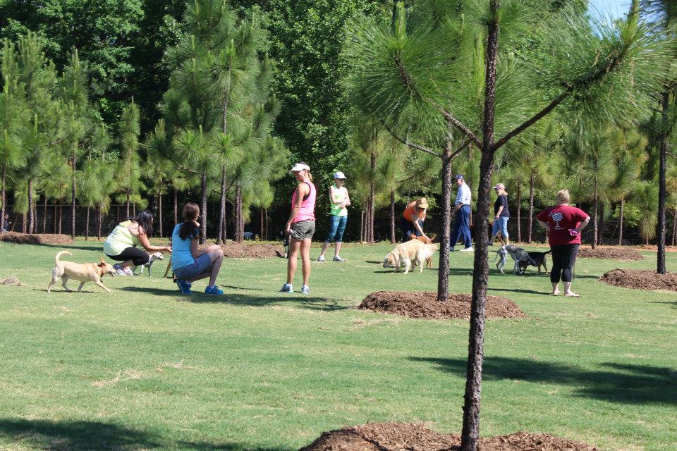 Photo of guests standing outside in the Mary Warner Mack Dog Park at the Anne Springs Close Greenway