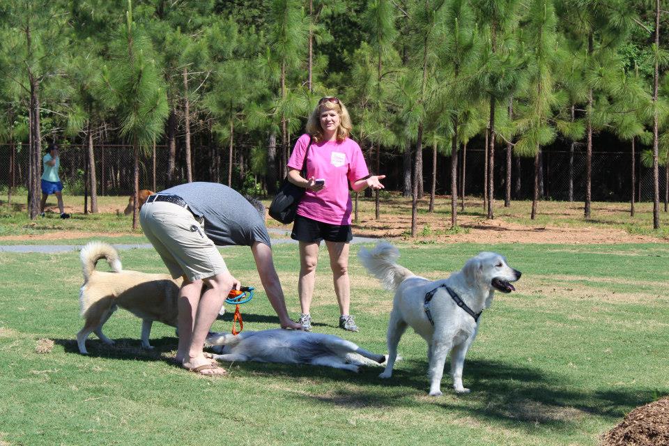Photo of man petting a dog laying in the grass while 2 dogs and a woman stands nearby