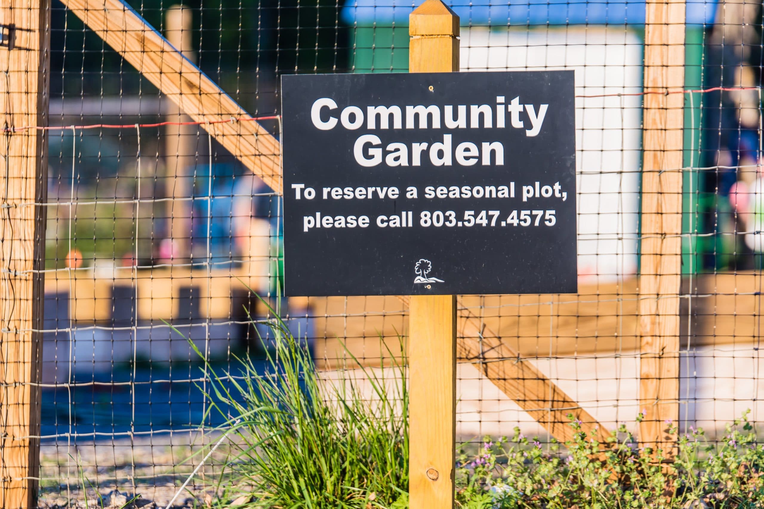 Photo of Plant-a-Row Community Garden with text reading "to reserve a seasonal plot, please call 803.547.4575" hanging on the fence