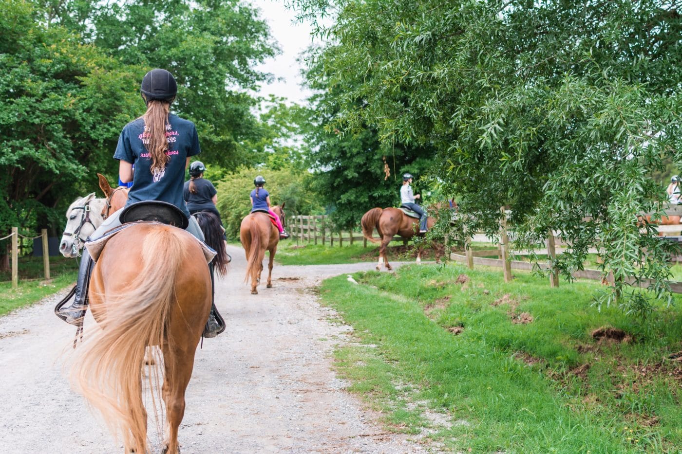 Photo of guests participating in a guided horseback riding lesson at the Anne Springs Close Greenway