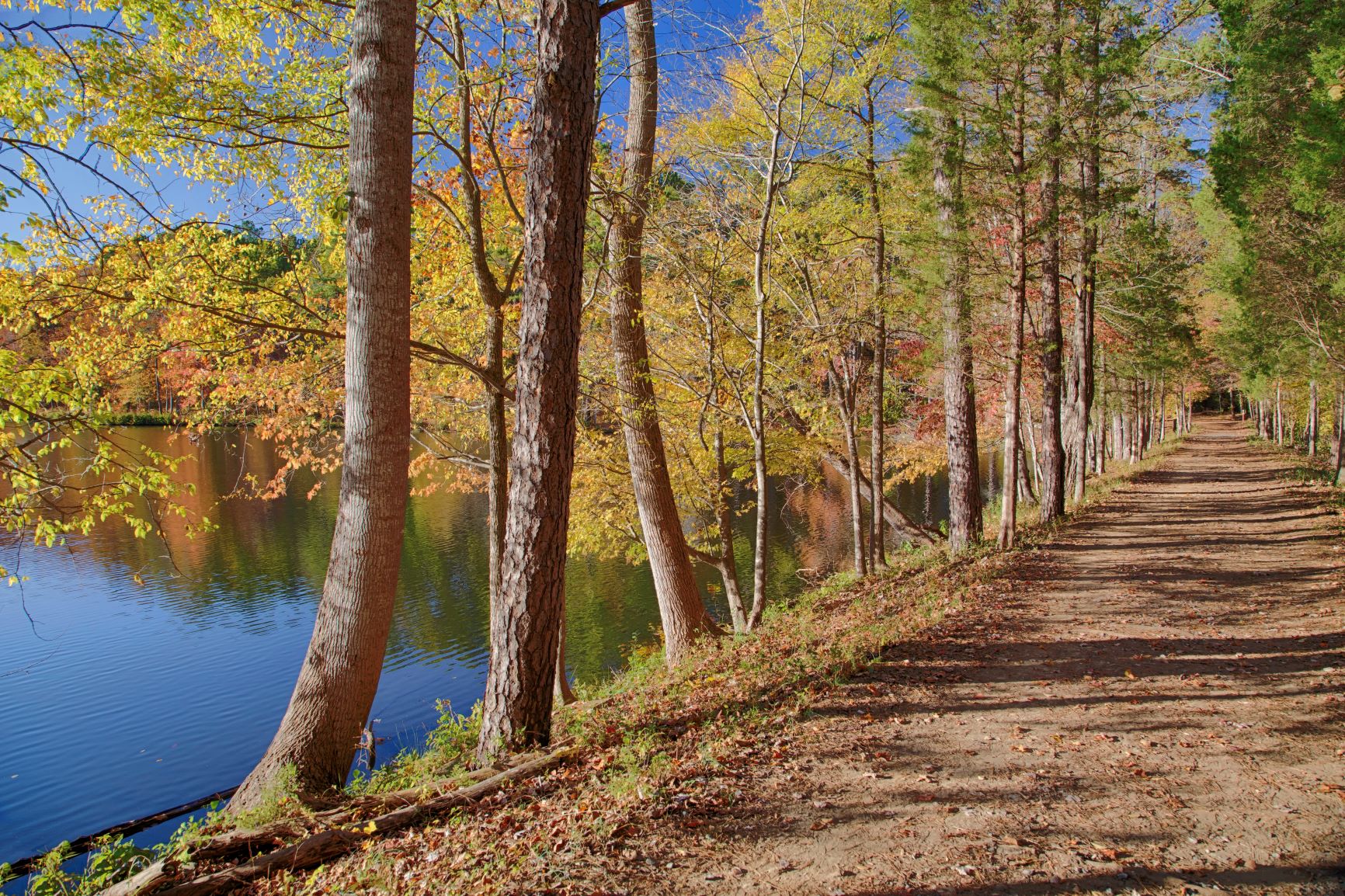 Haigler Fall HDR 01 Small Photo of the Lake Haigler Loop trail alongside Lake Haigler at the Anne Springs Close Greenway