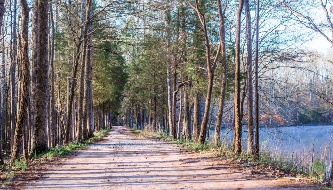 Photo of Lake Haigler Loop trail alongside Lake Haigler at the Anne Springs Close Greenway