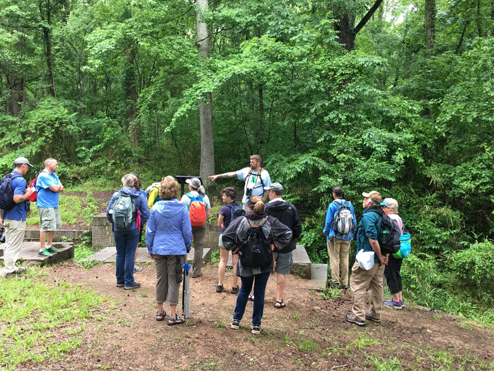 Participants on a trail