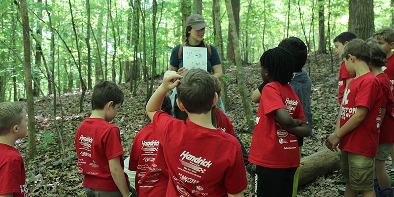 alt=Students learning about nature on a field trip