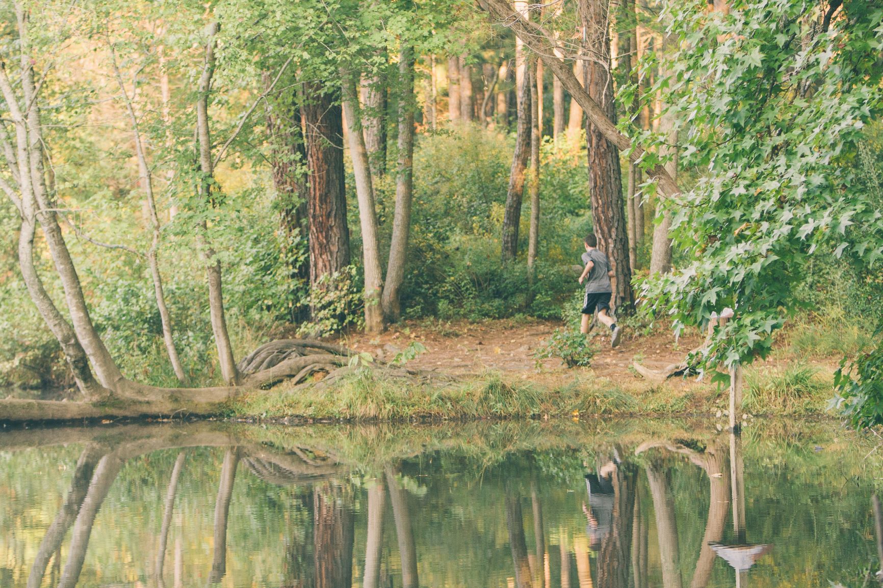 Photo of man running the trails of the Anne Springs Close Greenway