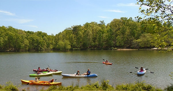 alt=Group of children kayaking on the greenway