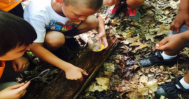 alt=Photo of children inspecting a piece of bark on the ground at the Anne Springs Close Greenway