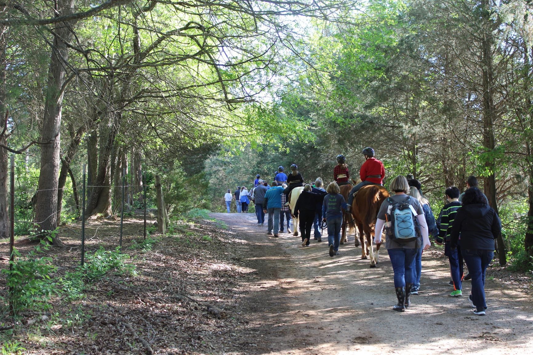 Photo of children participating in lead line horseback riding lessons at the Anne Springs Close Greenway