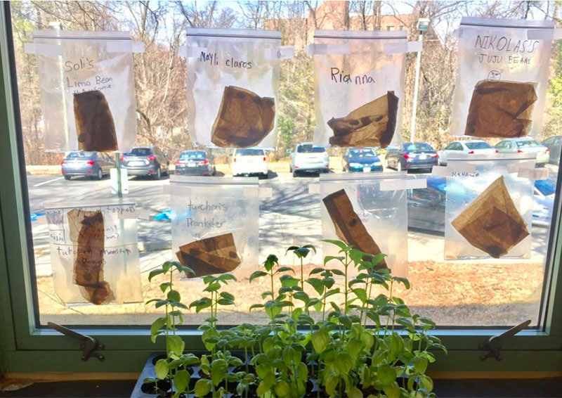alt=Photo of garden bags stuffed inside plastic bags taped to a window