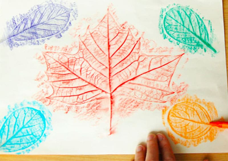 alt=Photo of leaf rubbings