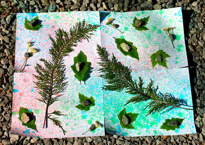 alt=Photo of leaves and rocks placed against a splatter painting