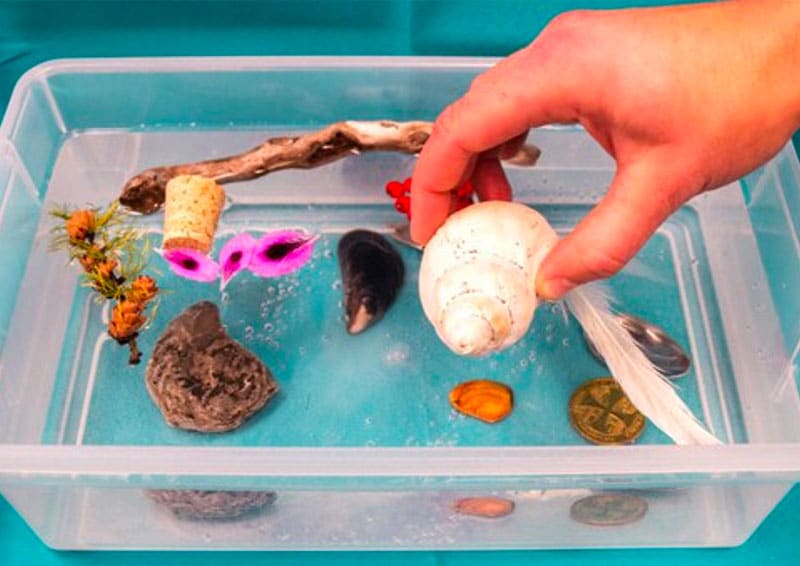 alt=Photo of hand placing items in a container filled with water
