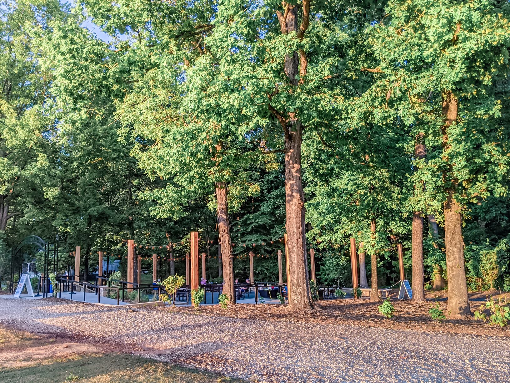 alt=Photo of trees lining the Domtar Forest Porch at the Anne Springs Close Greenway