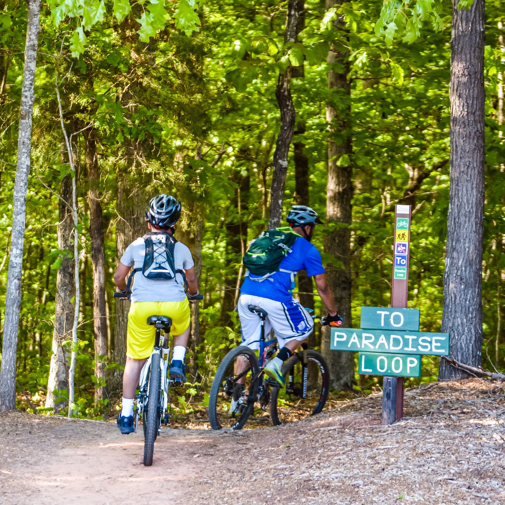 alt=Photo of bikers entering the Paradise Loop trail at the Anne Springs Close Greenway