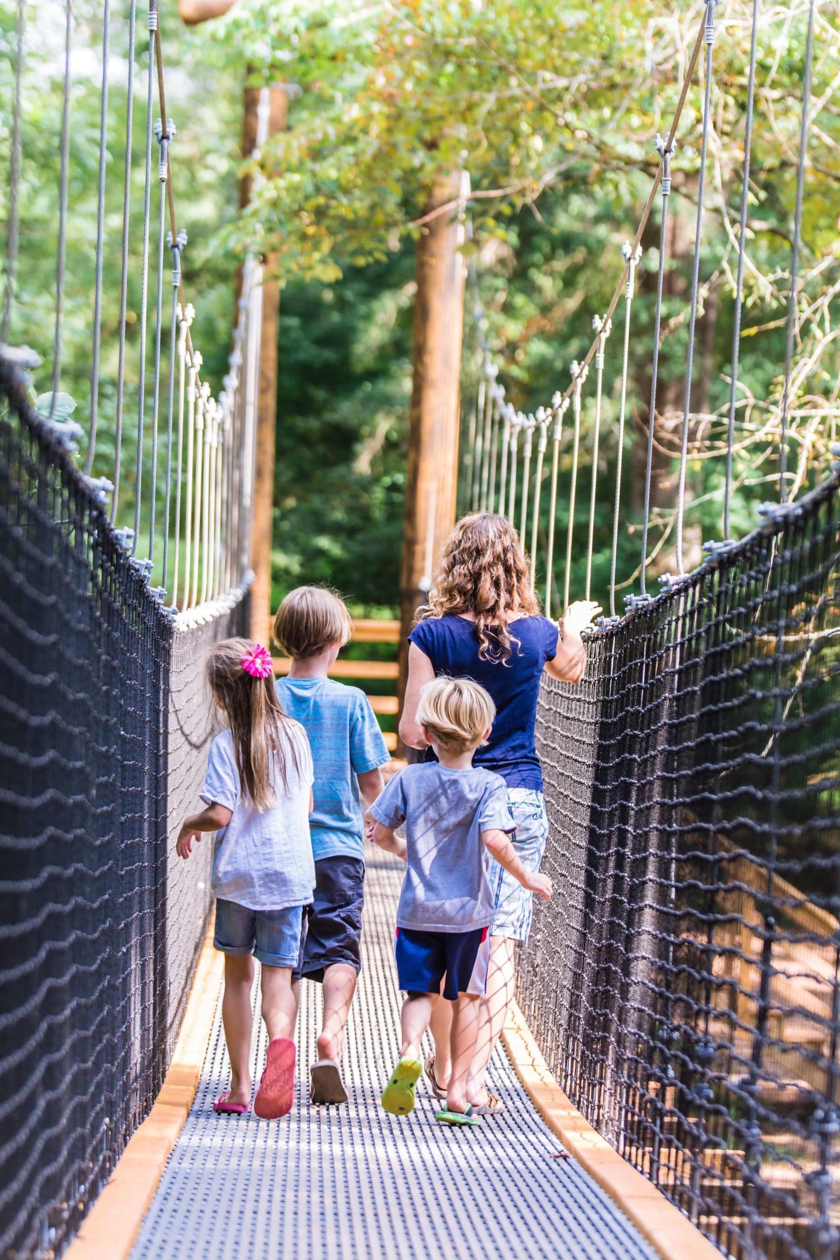 alt=Photo of mother walking her 3 children across the Swinging Bridge at the Anne Springs Close Greenway