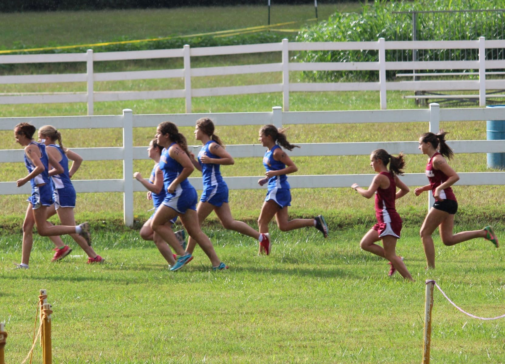 cross country, race, womens cross country, trail race