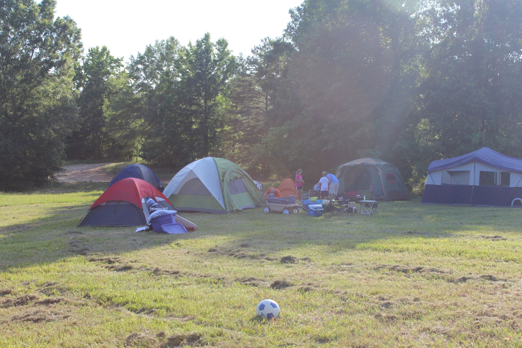 Photo of 5 camping tents propped up on-site of the Anne Springs Close Greenway