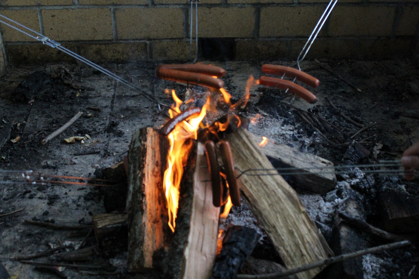 Photo of hot dogs roasting in the campfire at the Anne Springs Close Greenway