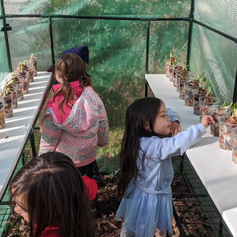 alt=Photo of children inspecting plants in a greenhouse at the Anne Springs Close Greenway