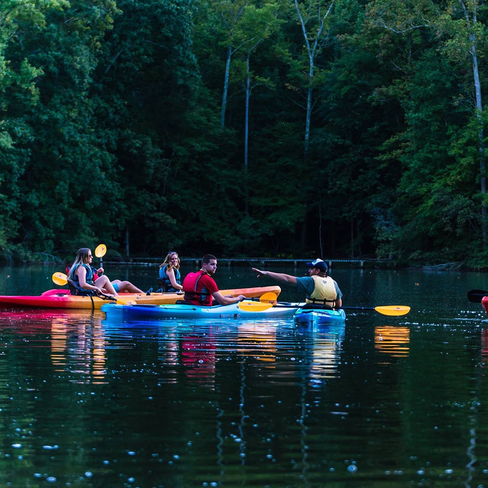 alt=Photo of 4 adults kayaking on Lake Haigler at the Anne Springs Close Greenway