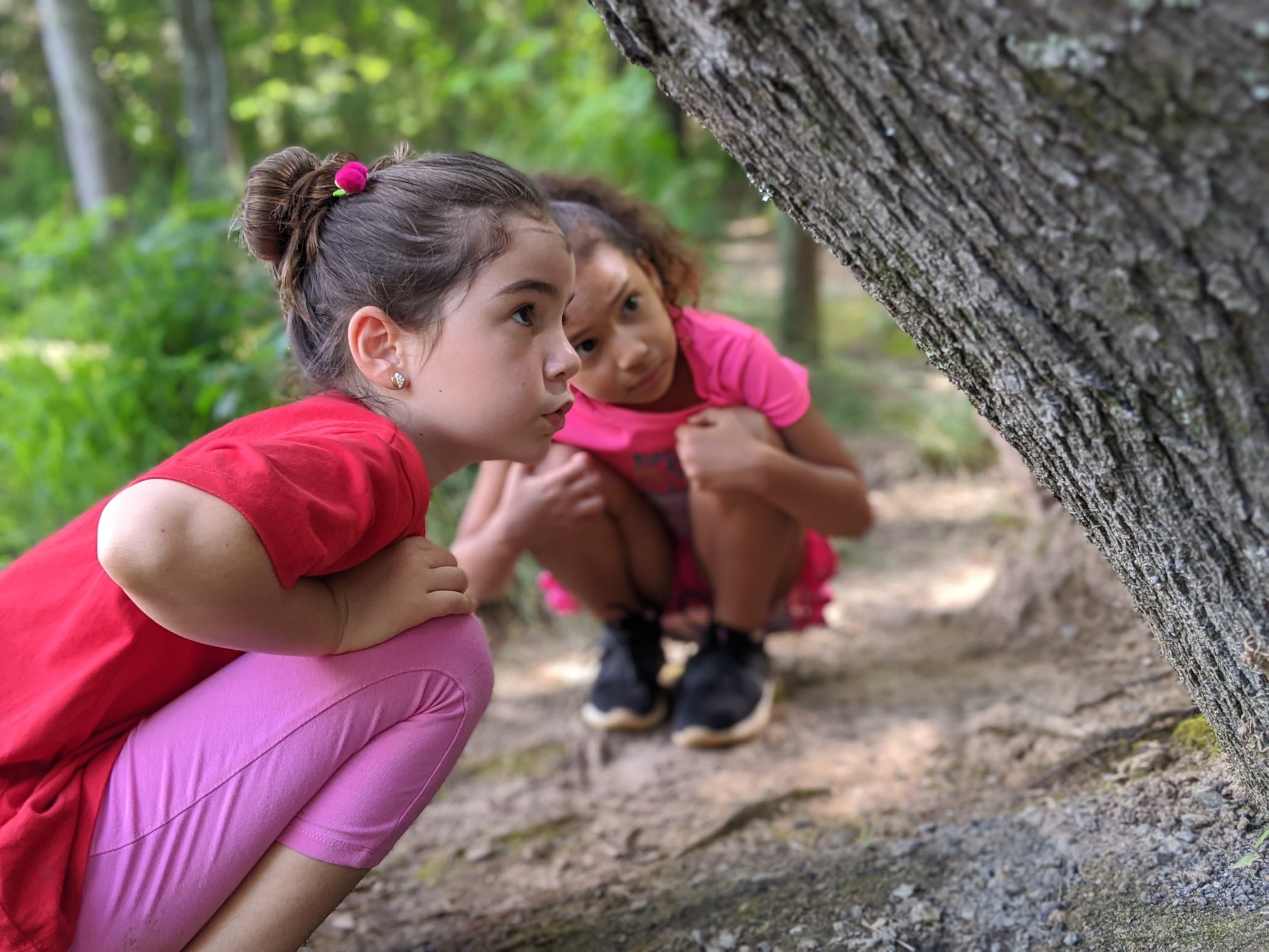 alt=Photo of 2 young girls examining a tree at the Anne Springs Close Greenway