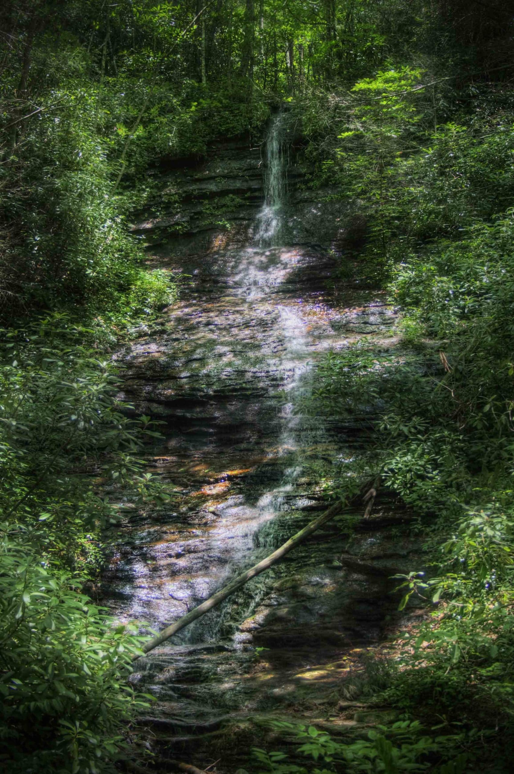 alt=Lake Haigler Spillway at the Anne Springs Close Greenway
