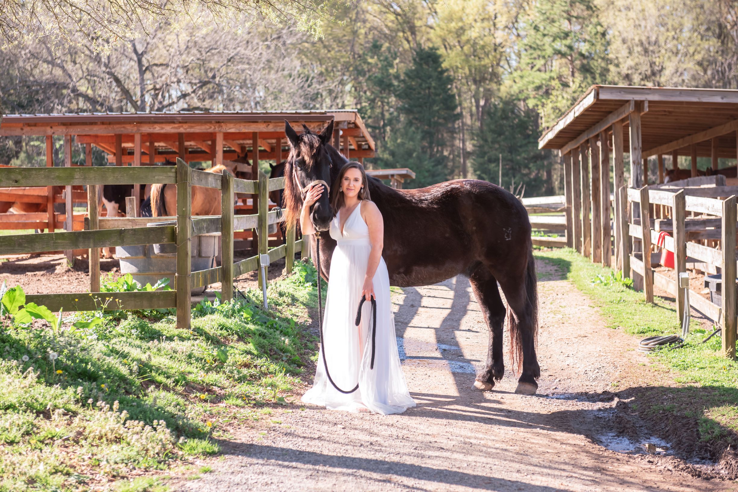 Photo of bride posing with horse at the Anne Springs Close Greenway