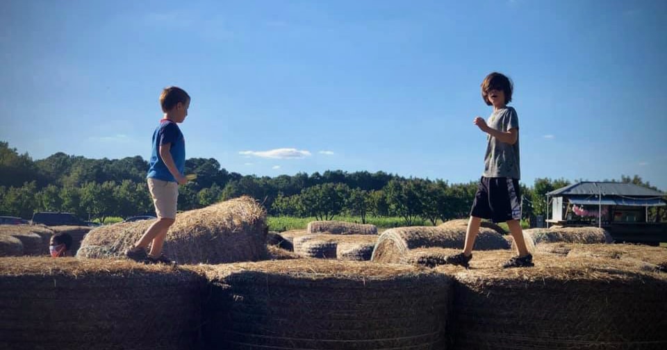 Photo of 2 young boys walking across the Hay Bales at the Anne Springs Close Greenway