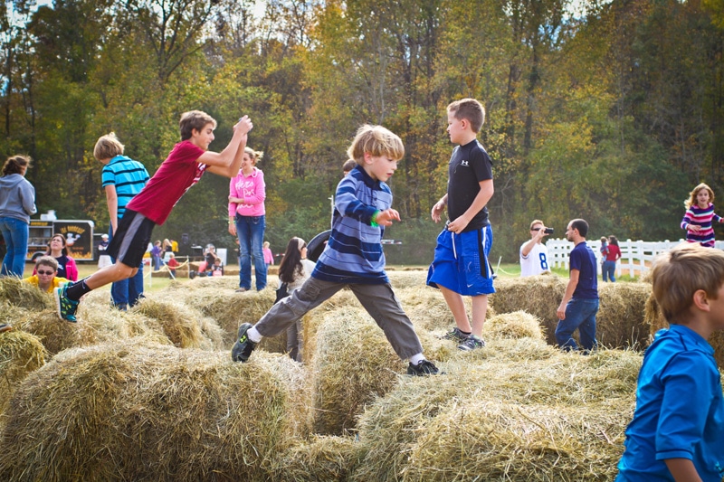 Photo of children leaping on the Hay Bales at the Anne Springs Close Greenway
