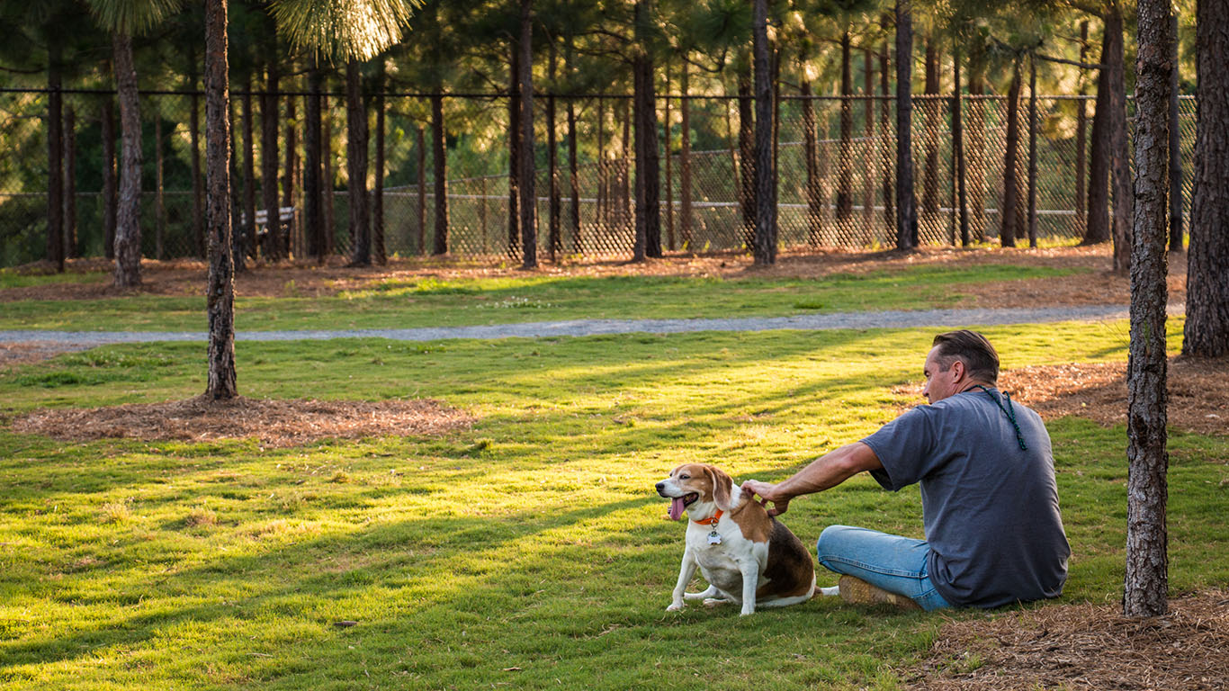 Photo of man petting a beagle dog sitting in the grass at the Anne Springs Close Greenway
