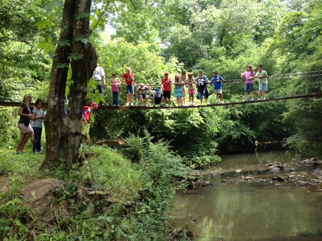 Photo of children overlooking Steele Creek on Anne Springs Close Greenway's Swinging Bridge