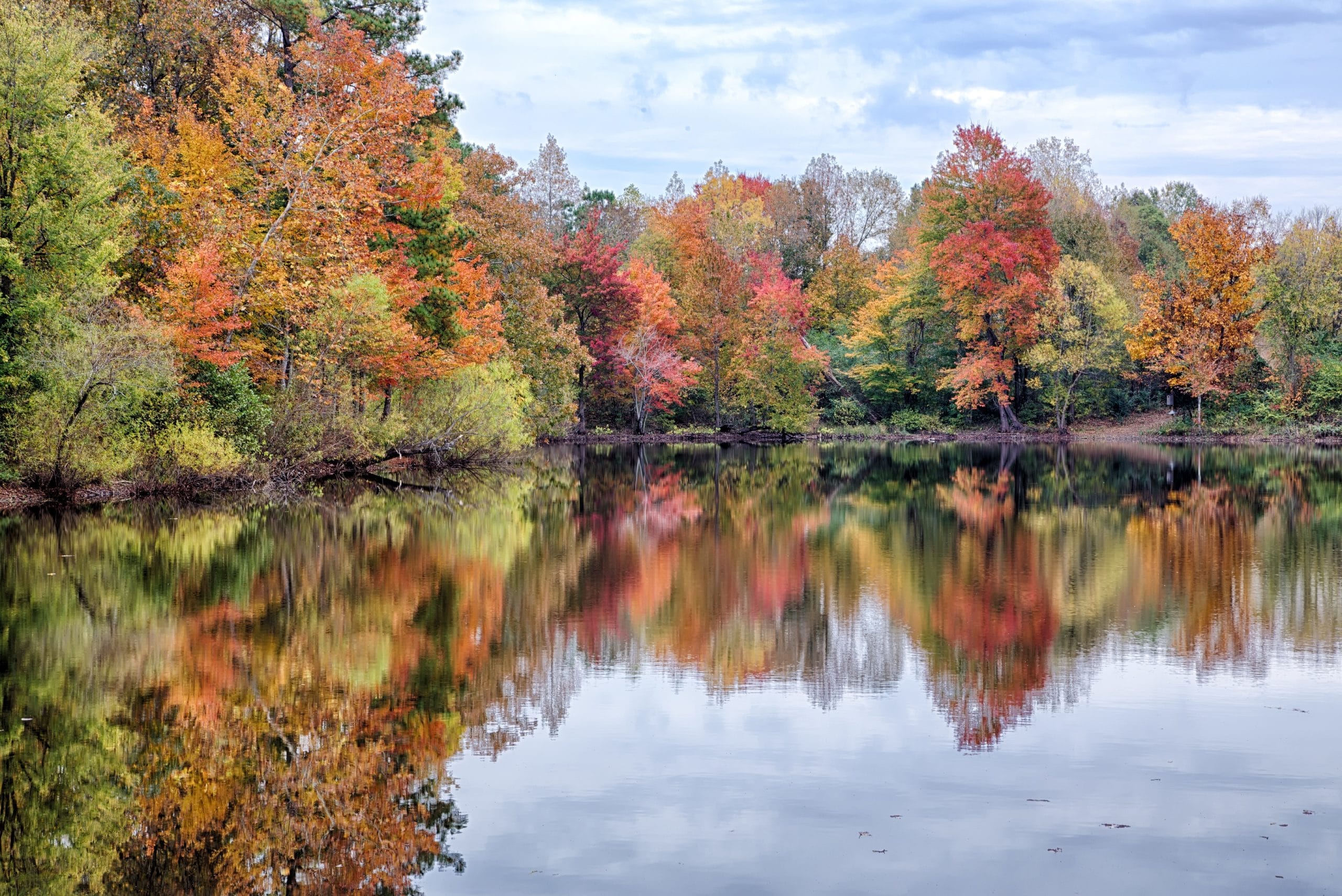 Photo of Lake Haigler at Anne Springs Close Greenway