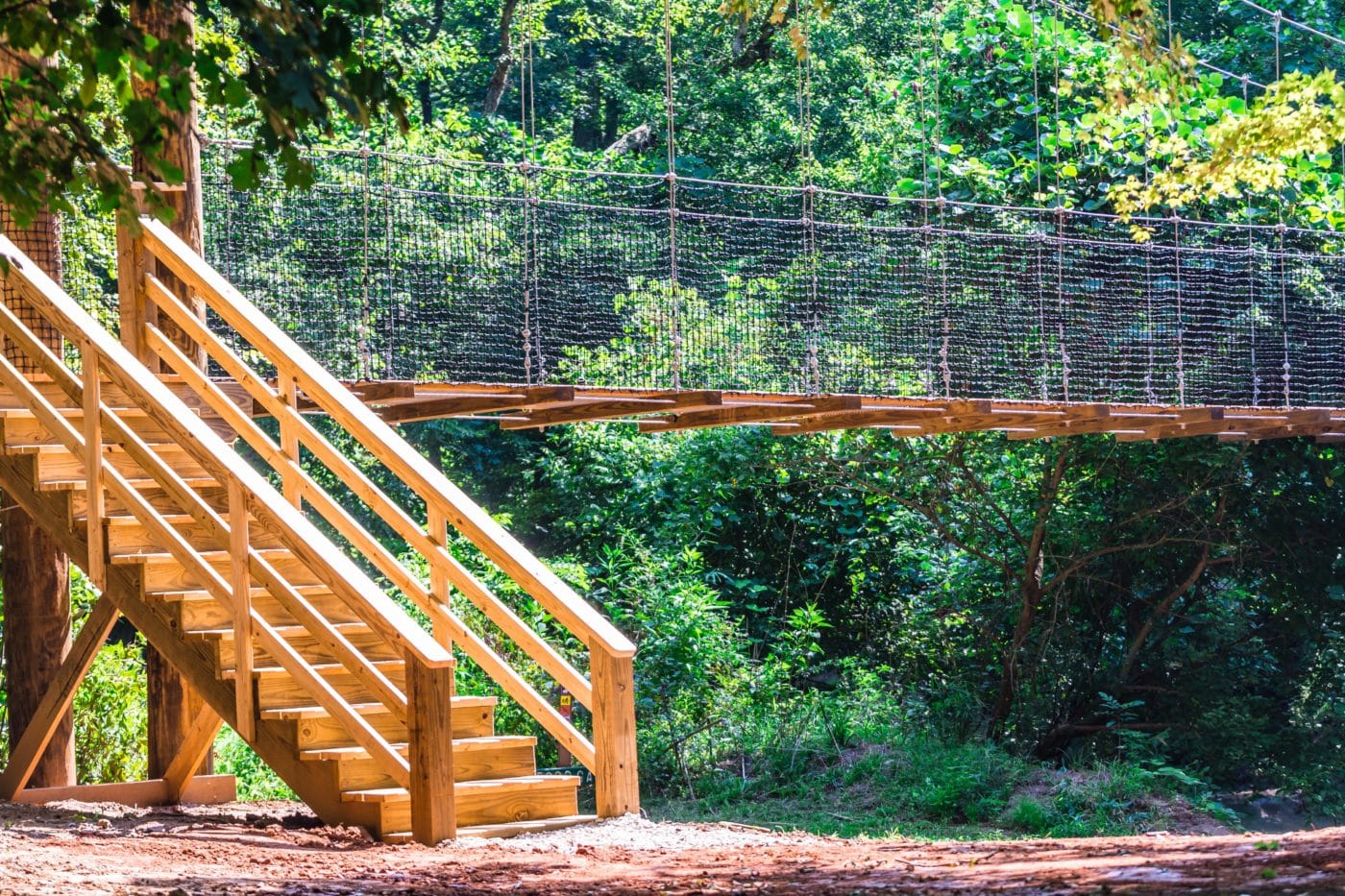 Photo of the stairs to the swinging bridge at the Anne Springs Close Greenway