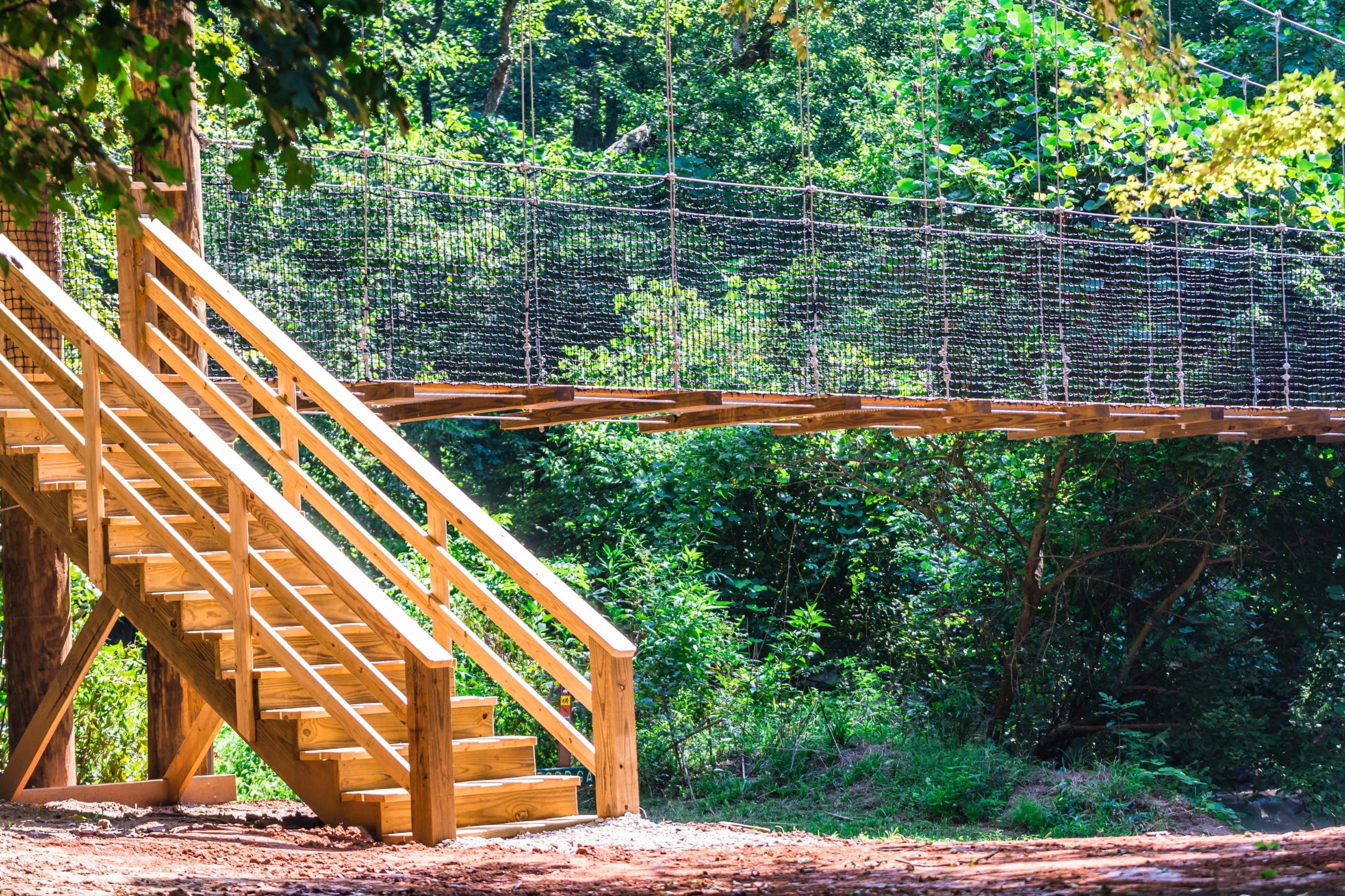 Photo of the stairs to the swinging bridge at the Anne Springs Close Greenway