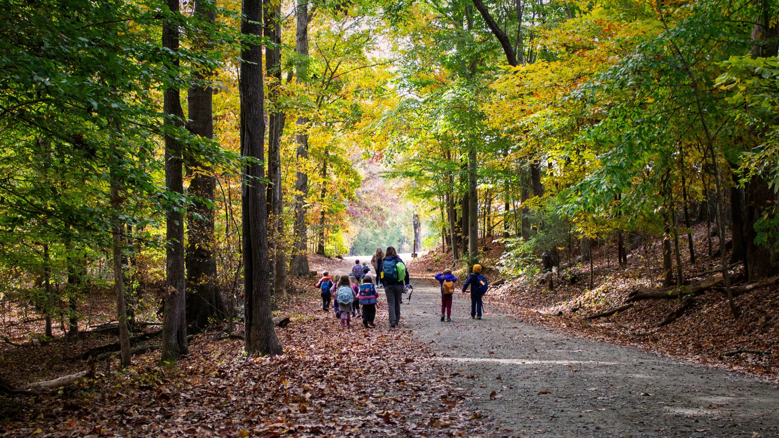 alt=Group of preschoolers hiking along a trail at the Anne Springs Close Greenway