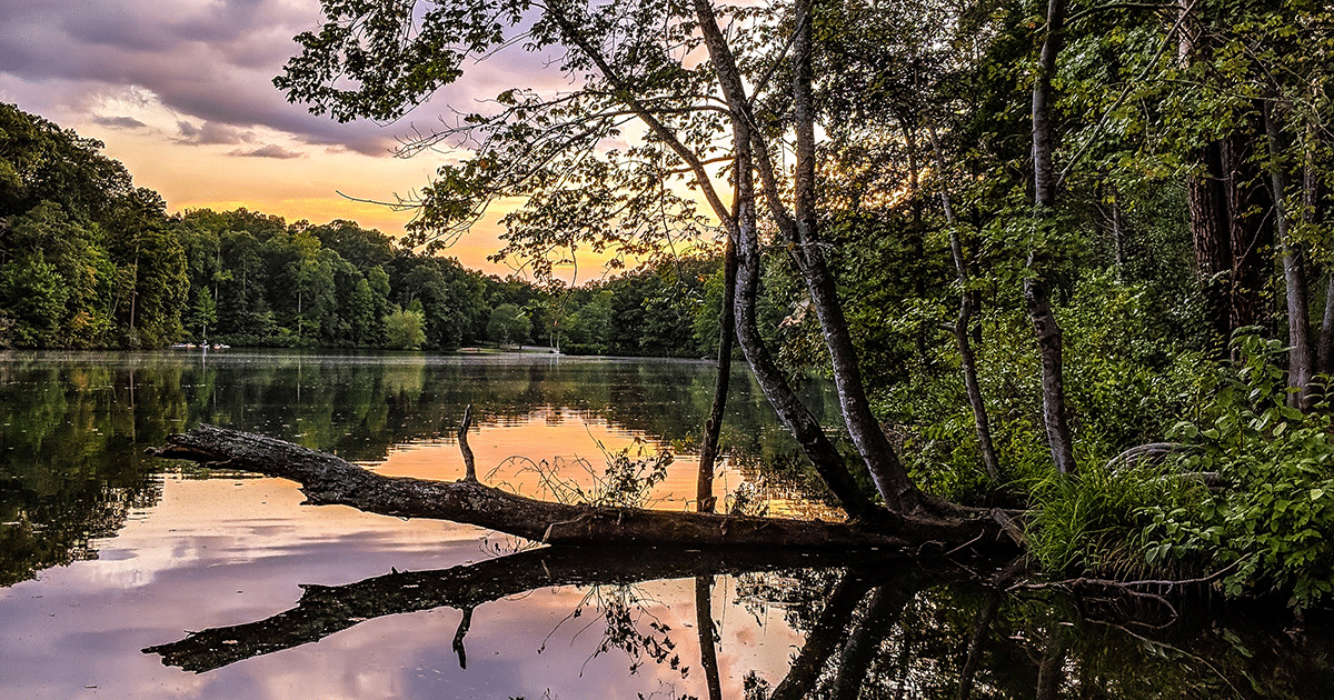 Photo of the sunrise on Lake Haigler at the Anne Springs Close Greenway