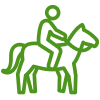Icon of person riding a horse
