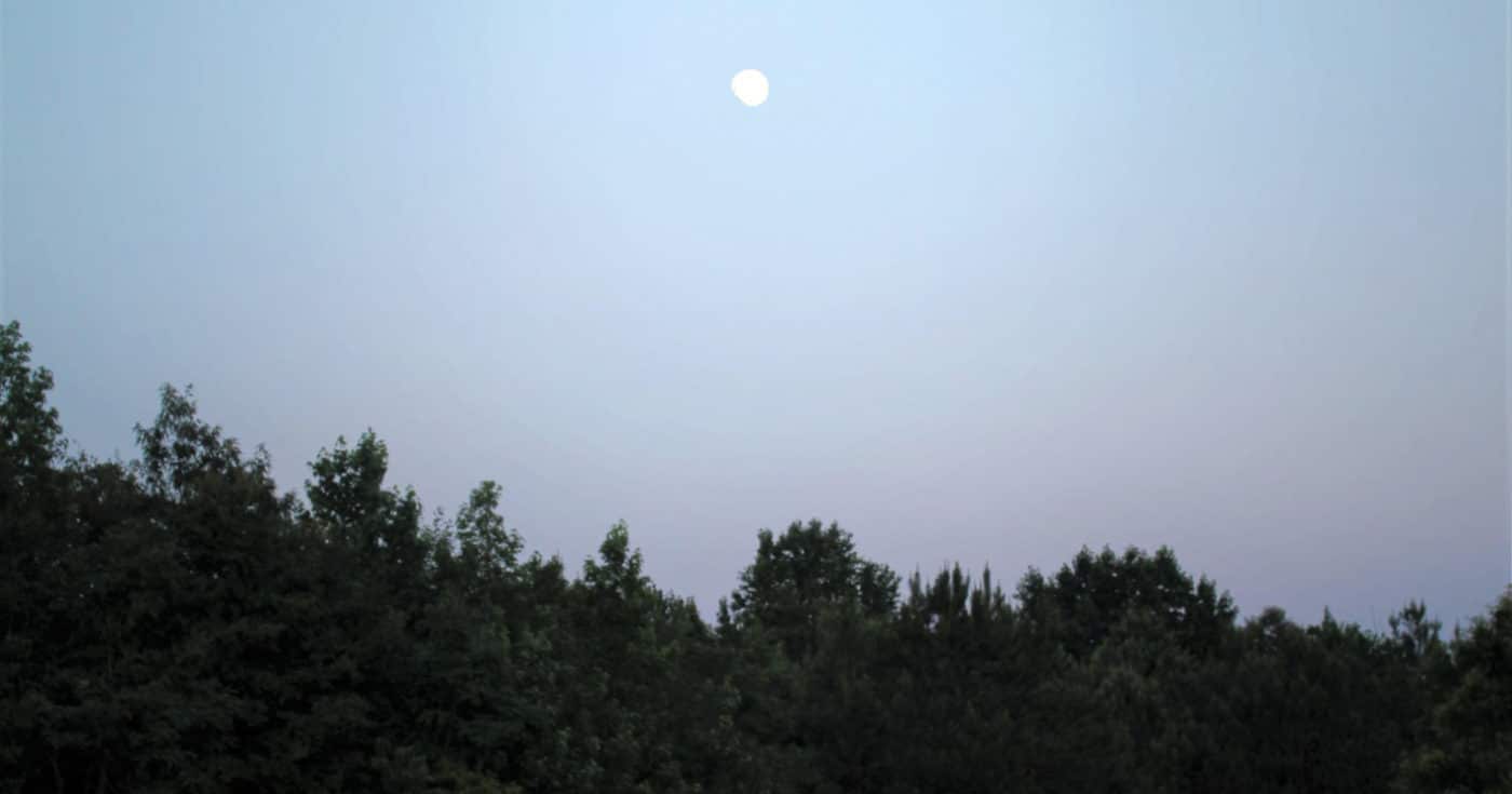 Dusk sky at Anne Springs Close Greenway